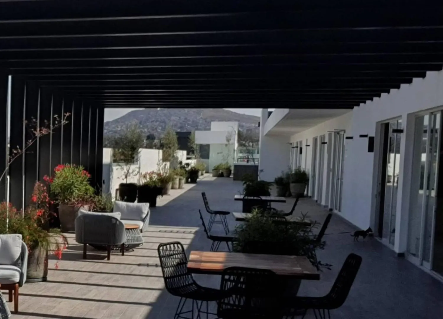 Appartamento Departamento En Zona Sur Con Alberca Y Vistas Panoramicas Guadalajara